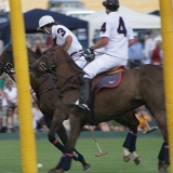 Photoscience - Polo and Wedding photographers in Hampshire Surrey and Sussex